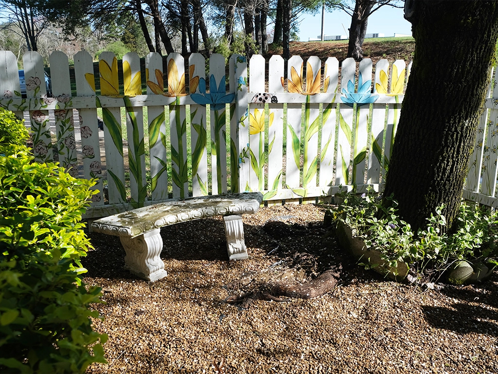 Garden with bench